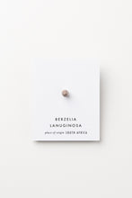 画像をギャラリービューアに読み込む, SINGLE STUD EARRING_BLM1