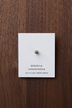 画像をギャラリービューアに読み込む, SINGLE STUD EARRING_BLM1