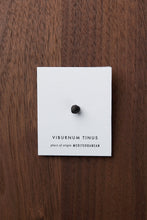 画像をギャラリービューアに読み込む, SINGLE STUD EARRING_VT1