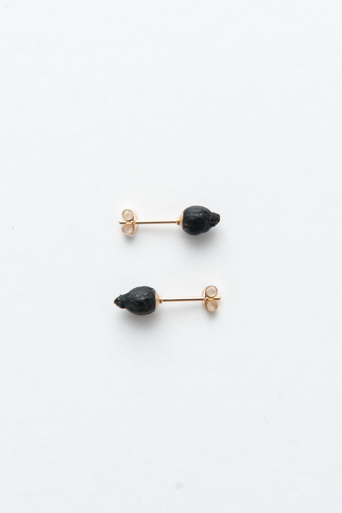 STUD EARRINGS _ VT1